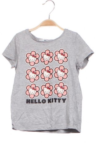Kinder T-Shirt H&M, Größe 4-5y/ 110-116 cm, Farbe Grau, 94% Baumwolle, 6% Elastan, Preis 14,61 €