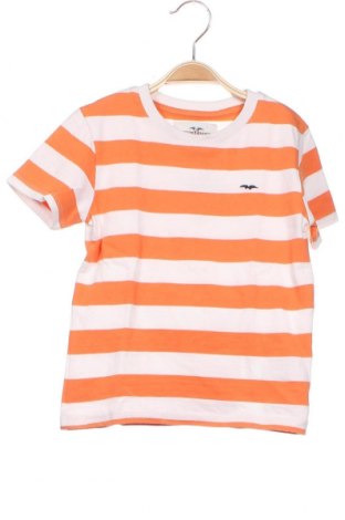 Kinder T-Shirt Hampton Republic, Größe 2-3y/ 98-104 cm, Farbe Orange, Baumwolle, Preis 16,01 €