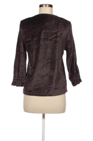 Γυναικεία μπλούζα Alchemist, Μέγεθος S, Χρώμα Γκρί, Τιμή 1,68 €
