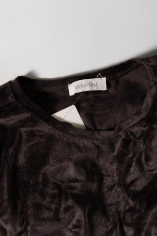 Γυναικεία μπλούζα Alchemist, Μέγεθος S, Χρώμα Γκρί, Τιμή 1,68 €