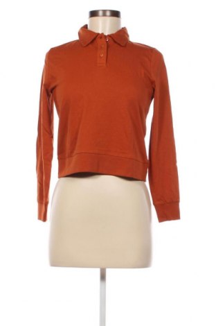 Γυναικεία μπλούζα ONLY, Μέγεθος XS, Χρώμα Καφέ, Τιμή 20,62 €
