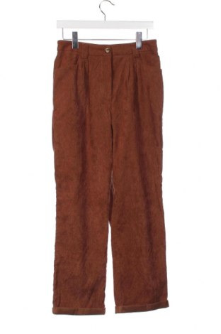 Pantaloni de velvet de femei, Mărime XL, Culoare Maro, Preț 21,56 Lei