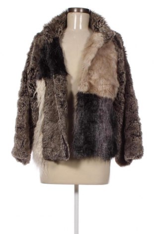 Γυναικείο παλτό Liu Jo, Μέγεθος S, Χρώμα Πολύχρωμο, Τιμή 59,39 €