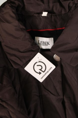 Γυναικείο μπουφάν Barbara Lebek, Μέγεθος XL, Χρώμα Καφέ, Τιμή 51,34 €