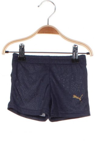 Детски къс панталон PUMA, Размер 2-3m/ 56-62 см, Цвят Син, Цена 6,16 лв.
