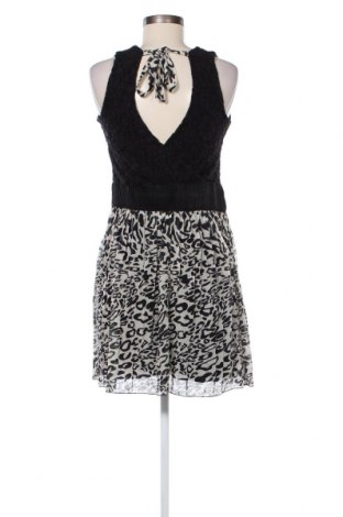 Φόρεμα Rinascimento, Μέγεθος M, Χρώμα Πολύχρωμο, Τιμή 36,49 €