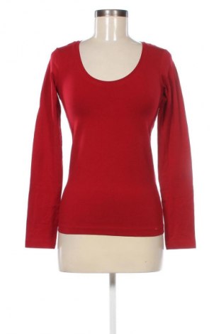 Damen Shirt, Größe S, Farbe Rot, Preis € 5,49