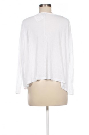 Damen Shirt ASOS, Größe M, Farbe Weiß, Preis 10,99 €