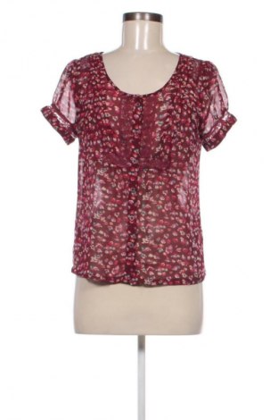 Damen Shirt American Eagle, Größe S, Farbe Mehrfarbig, Preis € 12,49