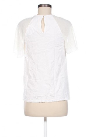 Damen Shirt Armani Exchange, Größe S, Farbe Ecru, Preis 33,99 €