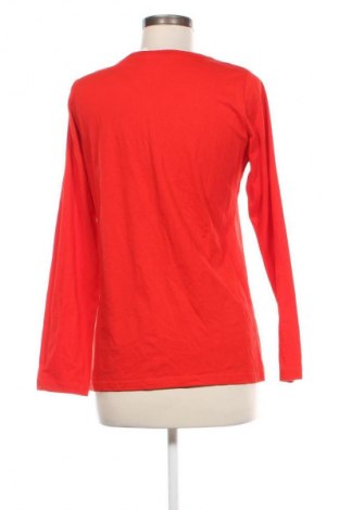 Damen Shirt Blue Motion, Größe M, Farbe Rot, Preis € 3,99