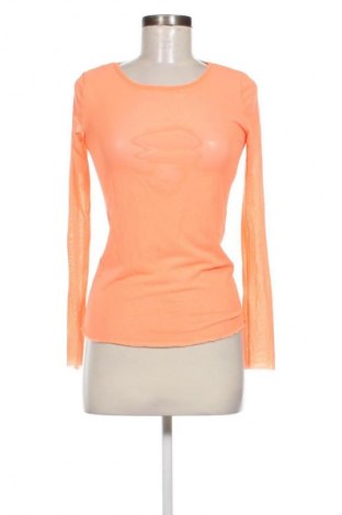 Damen Shirt Bottega, Größe L, Farbe Orange, Preis € 4,99