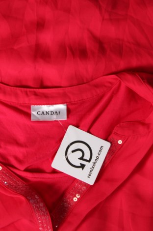 Damen Shirt Canda, Größe XL, Farbe Rosa, Preis € 6,49