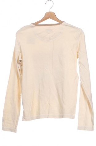 Damen Shirt Cecil, Größe L, Farbe Gelb, Preis € 17,39