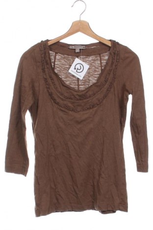 Damen Shirt Comma,, Größe XS, Farbe Braun, Preis 33,79 €