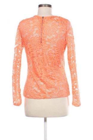 Damen Shirt Denim Hunter, Größe M, Farbe Orange, Preis € 33,79