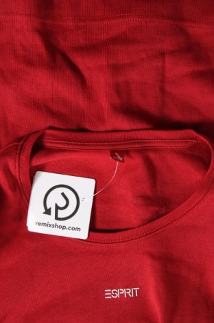 Damen Shirt Esprit, Größe XS, Farbe Rot, Preis € 6,49