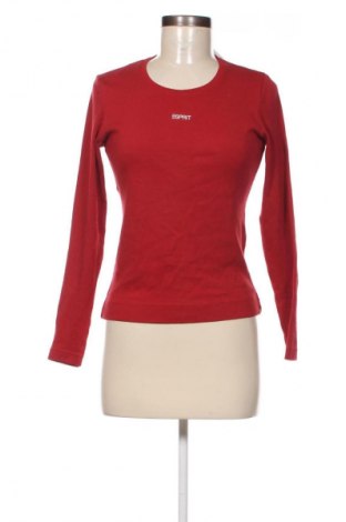 Damen Shirt Esprit, Größe XS, Farbe Rot, Preis € 6,49