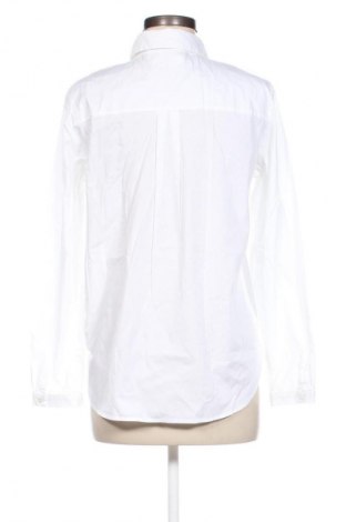 Damen Shirt Gerry Weber, Größe M, Farbe Weiß, Preis € 33,79