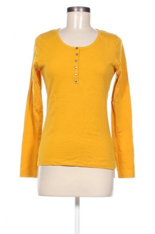 Damen Shirt Gina Benotti, Größe S, Farbe Orange, Preis 6,49 €