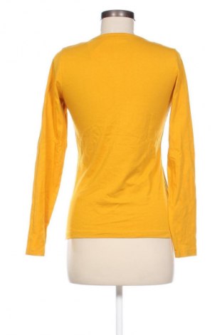 Damen Shirt Gina Benotti, Größe S, Farbe Orange, Preis 5,99 €