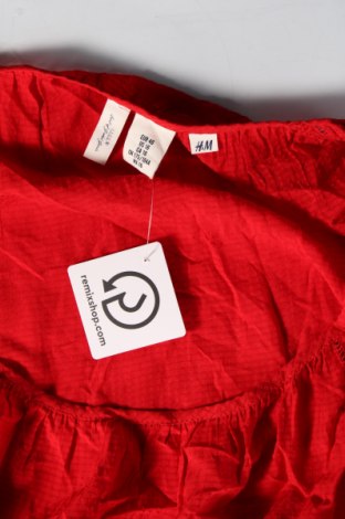 Damen Shirt H&M, Größe XL, Farbe Rot, Preis € 6,49