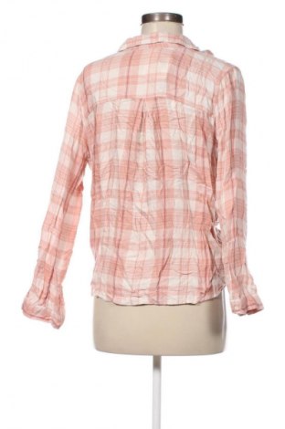 Damen Shirt Hollister, Größe M, Farbe Mehrfarbig, Preis € 7,49