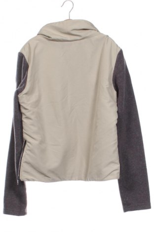 Damen Shirt Kookai, Größe S, Farbe Mehrfarbig, Preis € 15,99