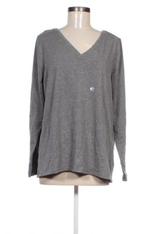 Damen Shirt Lane Bryant, Größe XL, Farbe Grau, Preis 39,39 €