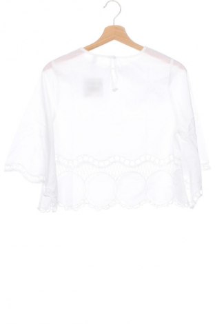 Damen Shirt Mango, Größe XS, Farbe Weiß, Preis 7,99 €