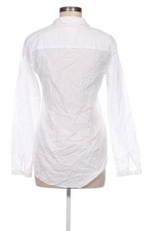 Damen Shirt Massimo Dutti, Größe M, Farbe Weiß, Preis 11,99 €