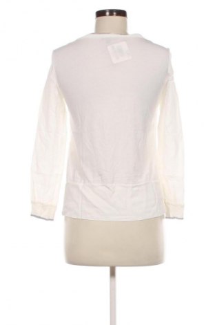 Damen Shirt Massimo Dutti, Größe S, Farbe Beige, Preis 16,49 €