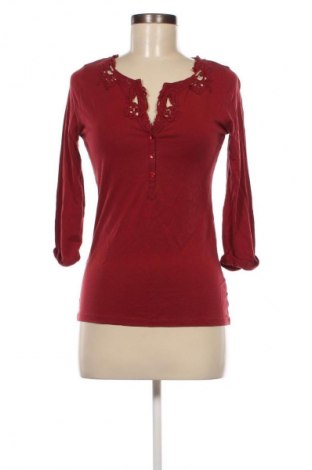 Damen Shirt Massimo Dutti, Größe M, Farbe Rot, Preis € 6,99