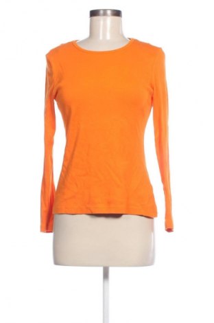 Damen Shirt Montego, Größe M, Farbe Orange, Preis € 13,49