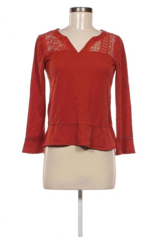 Damen Shirt ONLY, Größe S, Farbe Braun, Preis € 13,99