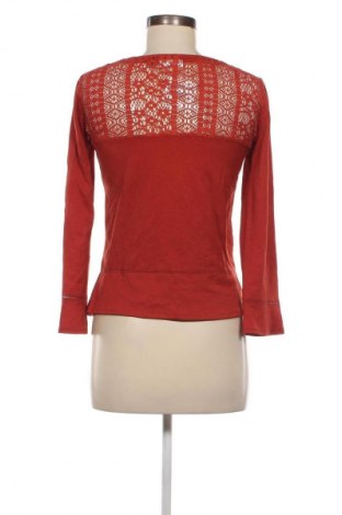 Damen Shirt ONLY, Größe S, Farbe Braun, Preis 13,99 €