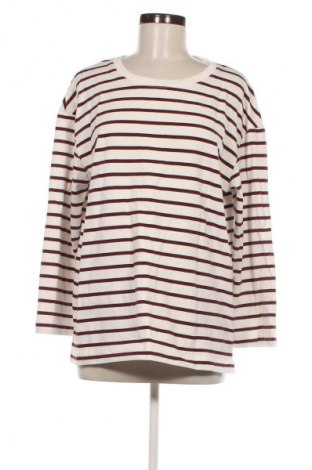 Damen Shirt Oysho, Größe S, Farbe Mehrfarbig, Preis € 10,49