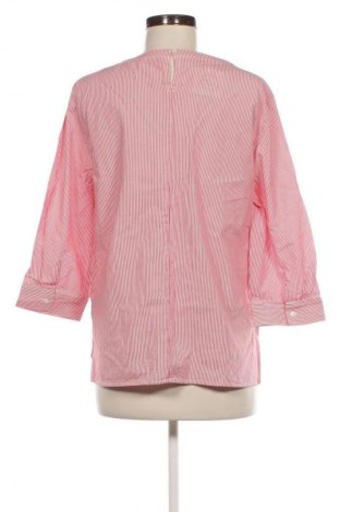 Damen Shirt Peter Hahn, Größe XL, Farbe Mehrfarbig, Preis 32,06 €