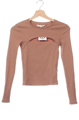 Damen Shirt Review, Größe XS, Farbe Beige, Preis € 18,49