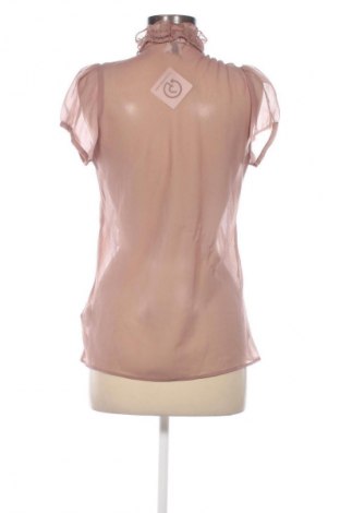 Damen Shirt Saint Tropez, Größe L, Farbe Braun, Preis 8,99 €