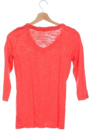 Damen Shirt Tom Tailor, Größe XS, Farbe Orange, Preis 10,49 €