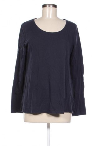 Damen Shirt Van Laack, Größe M, Farbe Blau, Preis 31,79 €