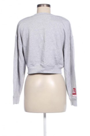 Damen Shirt Zara, Größe M, Farbe Grau, Preis 8,49 €