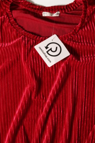 Damen Shirt Zara, Größe S, Farbe Rot, Preis 8,99 €