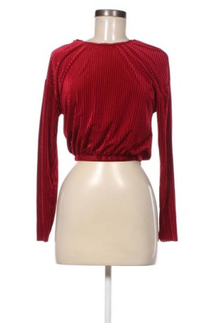 Damen Shirt Zara, Größe S, Farbe Rot, Preis 8,99 €