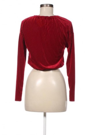 Damen Shirt Zara, Größe S, Farbe Rot, Preis 8,99 €