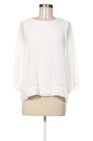 Damen Shirt Zara, Größe S, Farbe Weiß, Preis 5,99 €