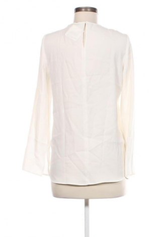 Damen Shirt Zara, Größe S, Farbe Weiß, Preis € 5,99