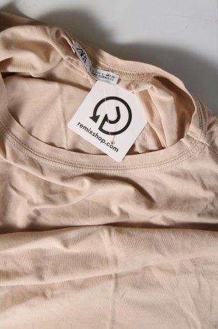 Damen Shirt Zara, Größe S, Farbe Ecru, Preis € 10,00