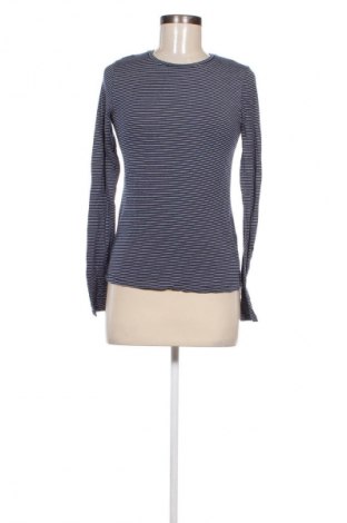 Damen Shirt Zara Trafaluc, Größe S, Farbe Blau, Preis 2,99 €